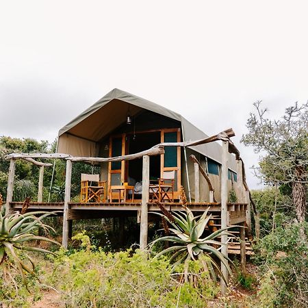 Woodbury Tented Camp - Амакала Гейм Ризърв Екстериор снимка
