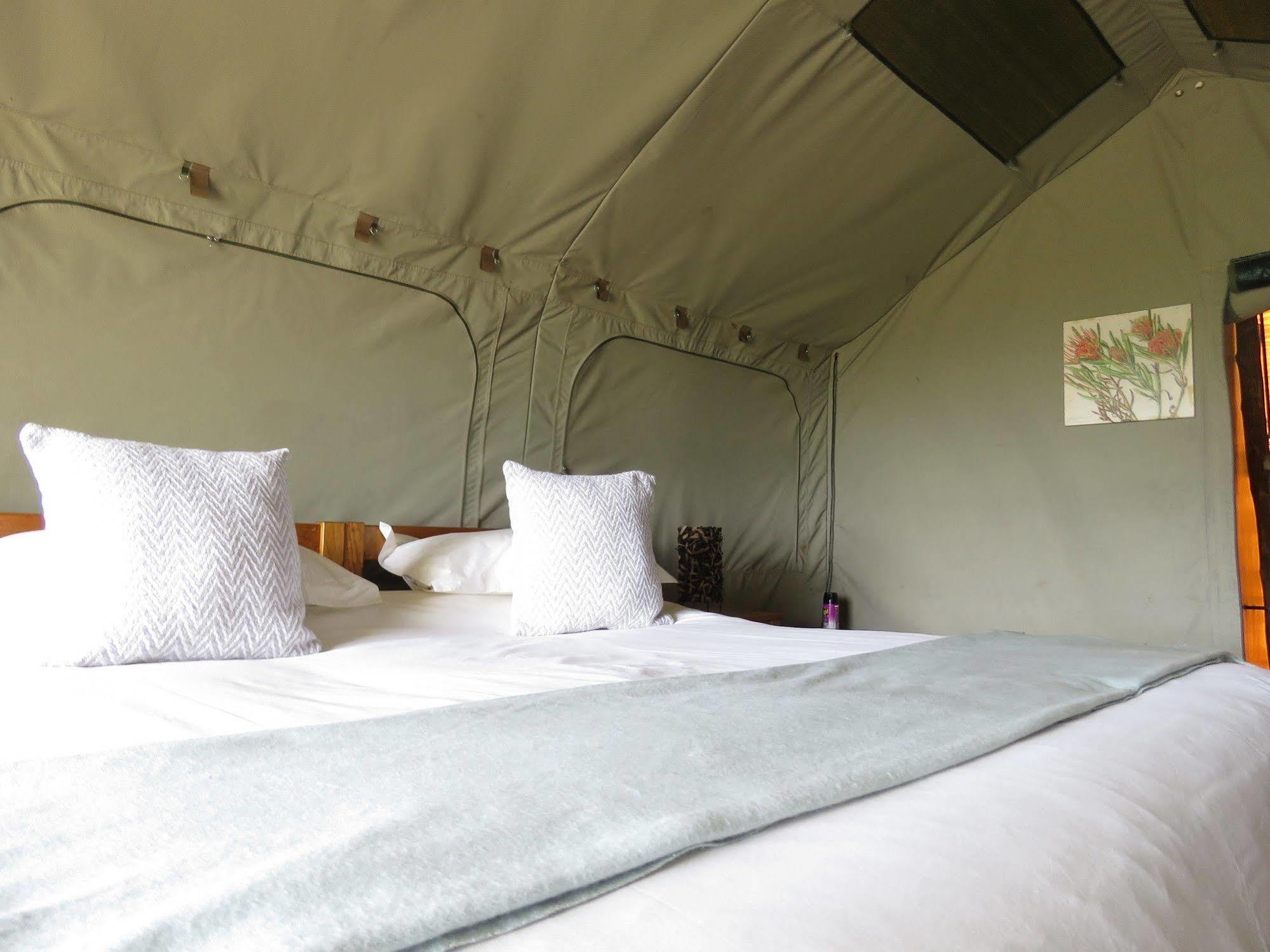 Woodbury Tented Camp - Амакала Гейм Ризърв Екстериор снимка