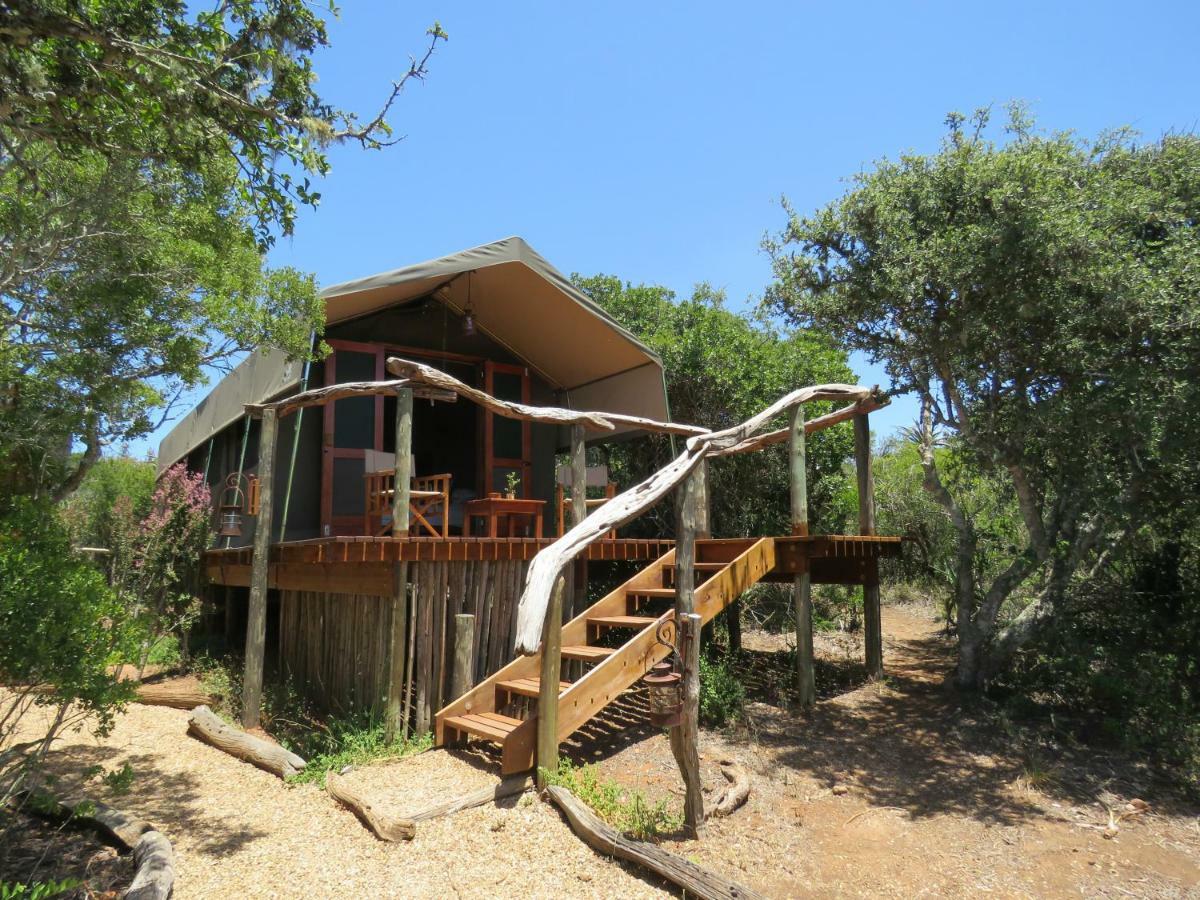 Woodbury Tented Camp - Амакала Гейм Ризърв Екстериор снимка
